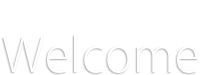 welcome to our netbees website